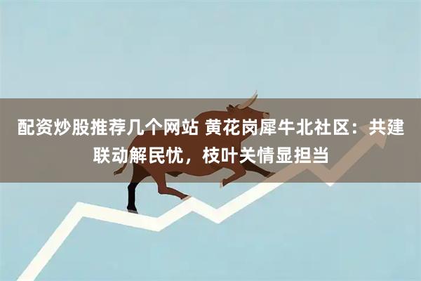 配资炒股推荐几个网站 黄花岗犀牛北社区：共建联动解民忧，枝叶关情显担当
